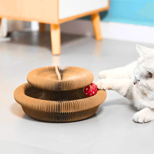 The source of a cat's happiness - the circular scratching post!🎁