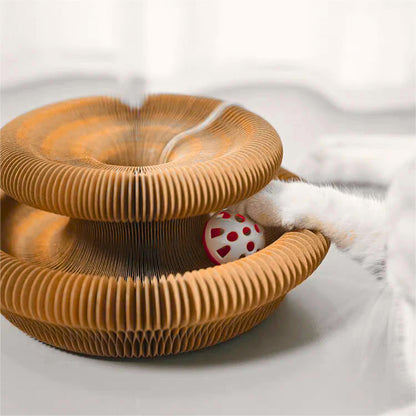 The source of a cat's happiness - the circular scratching post!🎁