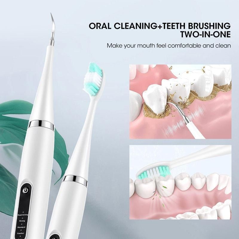 Advanced Sonic Electric Toothbrush & Dental Plaque Remover Kit