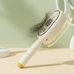 Electric Spray Air Cushion Massage Comb
